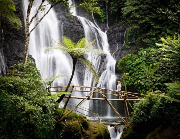 Banyumala Twin Waterfalls Wanagiri Top Waterfalls In Bali Best