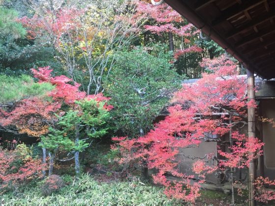 Daitoku-ji Temple and garden kyoto (1)