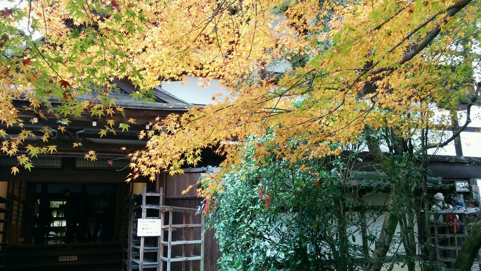 Ryoan-ji Temple garden kyoto (1)