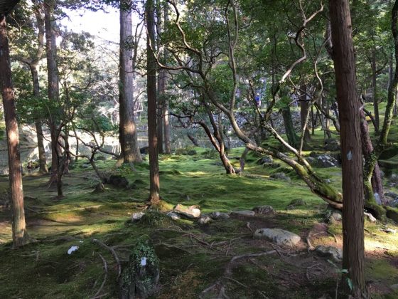 Saiho-ji garden kyoto (19)