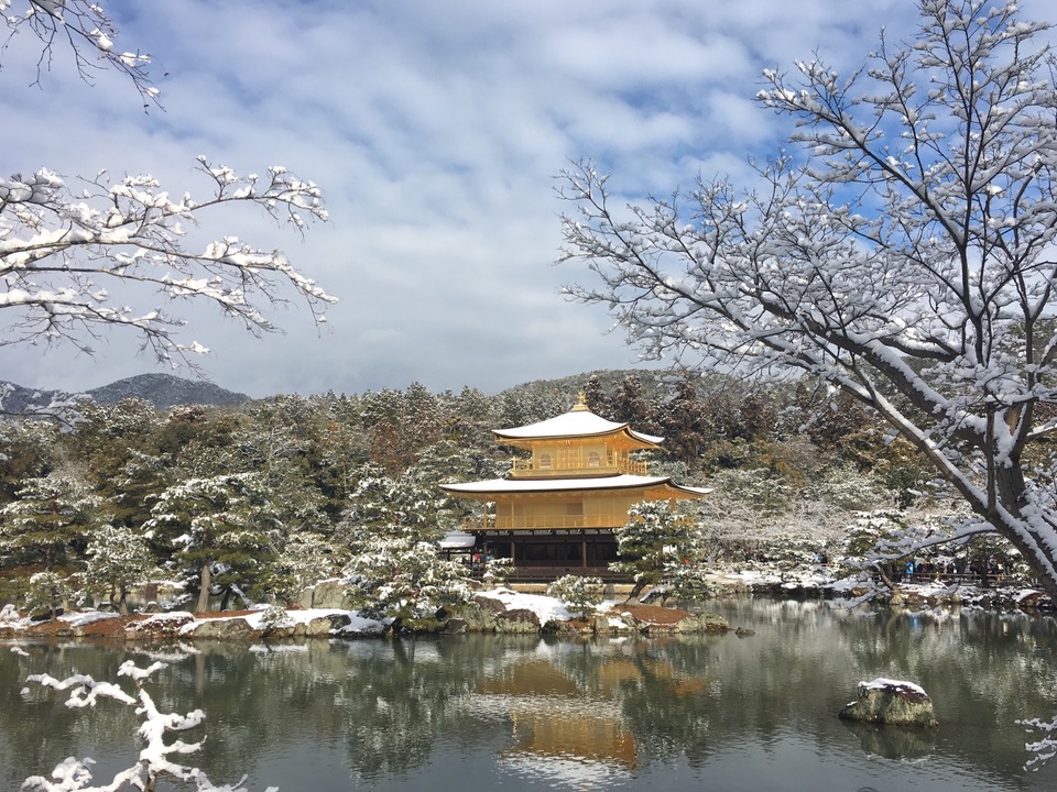 kinkakuji temple garden kyoto (1)