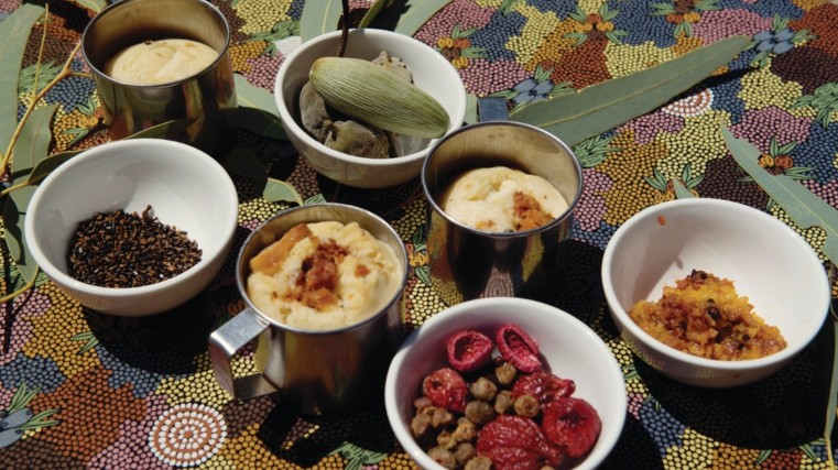 SEIT Outback Australia introduces guests to traditional Aboriginal foodstuffs.