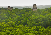 The-top-of-Temple-IV