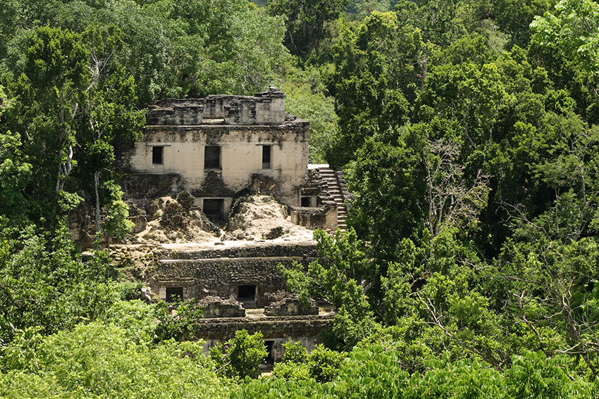 The-ruins-of-Tikal