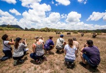 19+ spectacular photos from Southern Africa will make you visit there right now