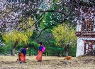Spring in Bhutan