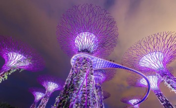 Top 10 fun things to do in Singapore at night for FREE Super trees at Gardens by the Bay lit up at night Gardens by the Bay is Singapore’s latest prestige project and definitely worth a visit.