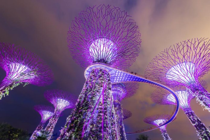 Super trees at Gardens by the Bay lit up at night Gardens by the Bay is Singapore’s latest prestige project and definitely worth a visit.