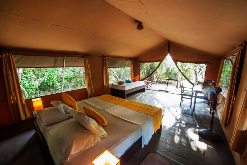 luxuary tented camping in Sri Lanka