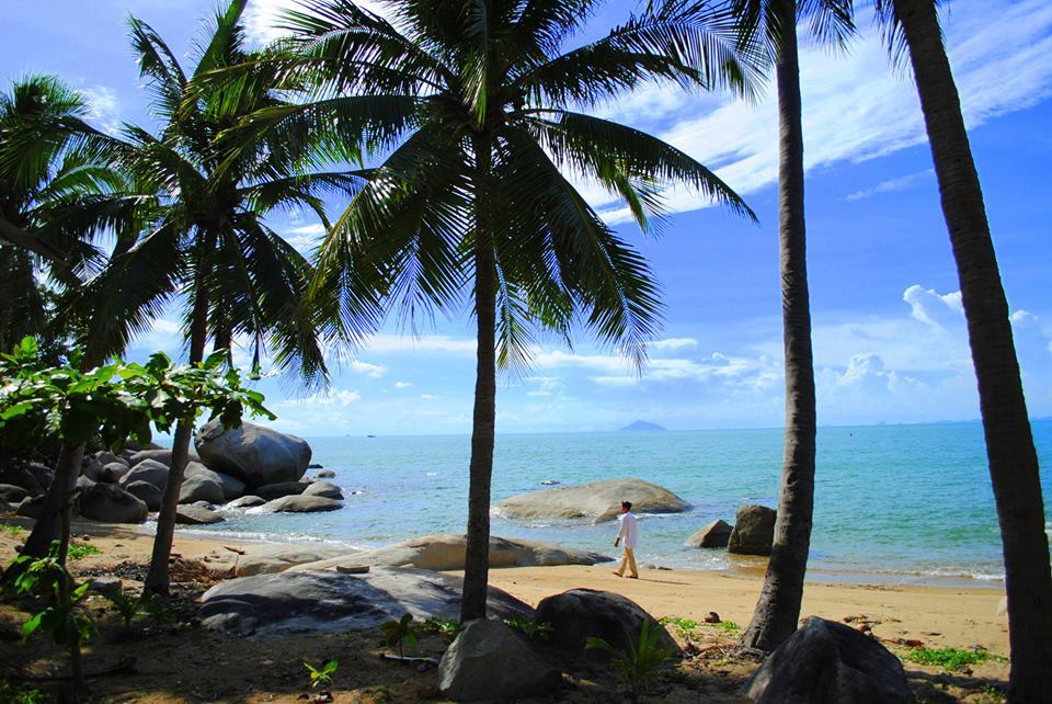 The island is full of green palm trees, peaceful feelings and romantic scenes. Photo: Phong Vu Nam Du