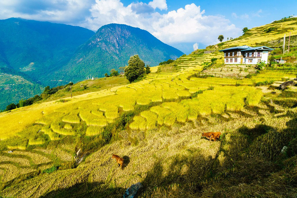 Radi village in northeastern Bhutan