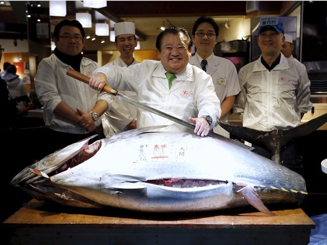 tsukiji-fish-market-tokyo-japan-3
