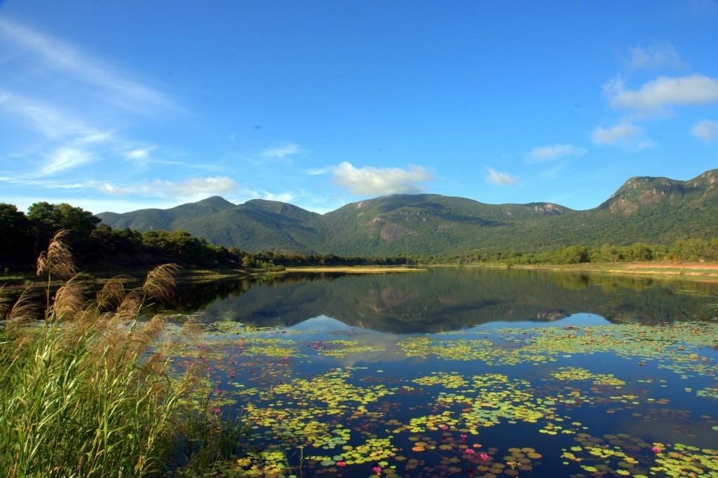 An Hai lotus lake