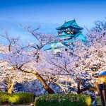 Cherry blossom Osaka 2024 forecast — 13 best places to see sakura in Osaka & best place to see cherry blossoms in Osaka