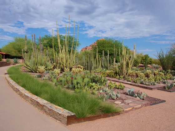 12 best botanical gardens in the United States - Living + Nomads ...