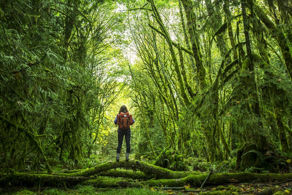 Don't wander off into the wilds without letting someone know about your plans © Jordan Siemens / Getty Images