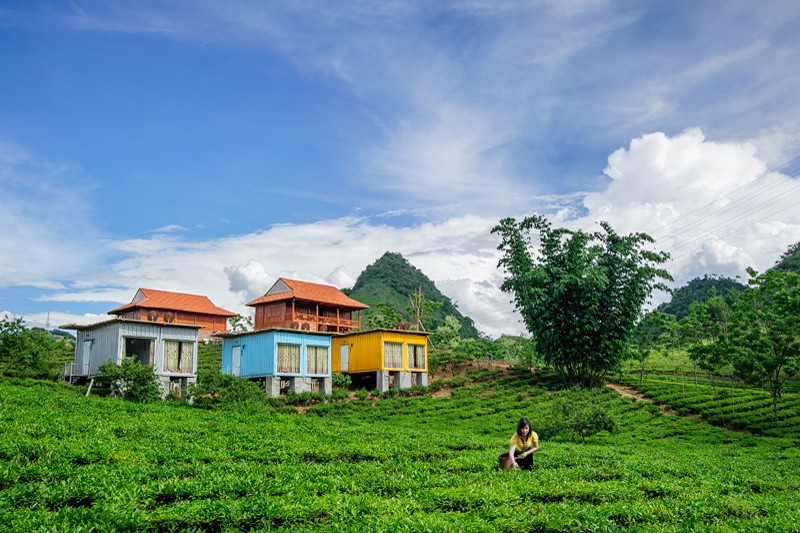 Moc Chau Arena Village located on a nice small hill