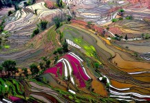 10+ stunning photos show spectacular rice terraces of Yuanyang
