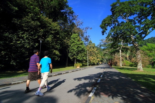 Road to Penang Hill