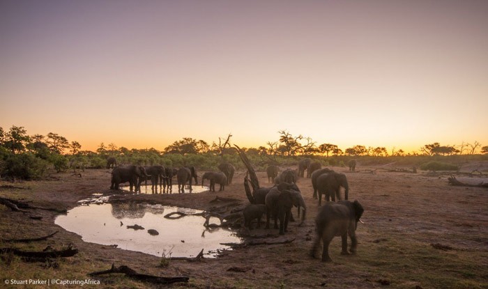 Stuart_Parker-savute-safari-lodge-botswana-sunset