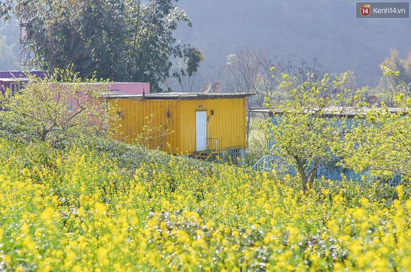 The space of Moc Chau arena village is very close to nature