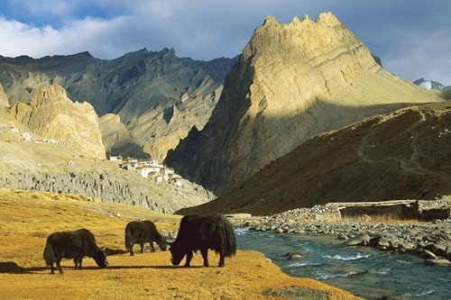 Unique scenery in Ladakh, doanhnhansaigon.vn