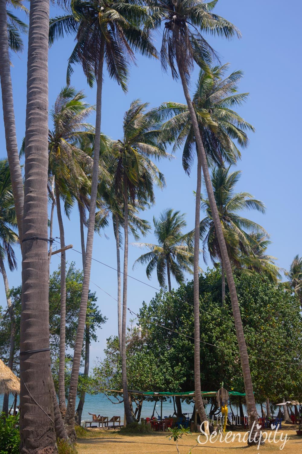 beautiful scenery koh tonsay combodia