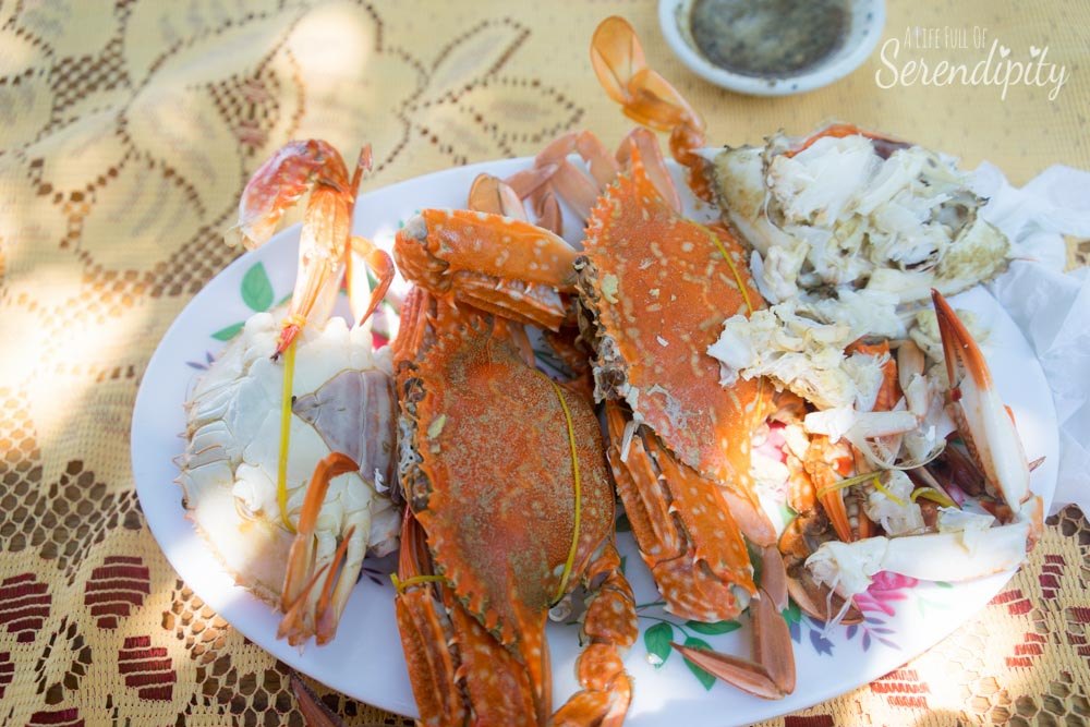 crap in koh tonsay combodia