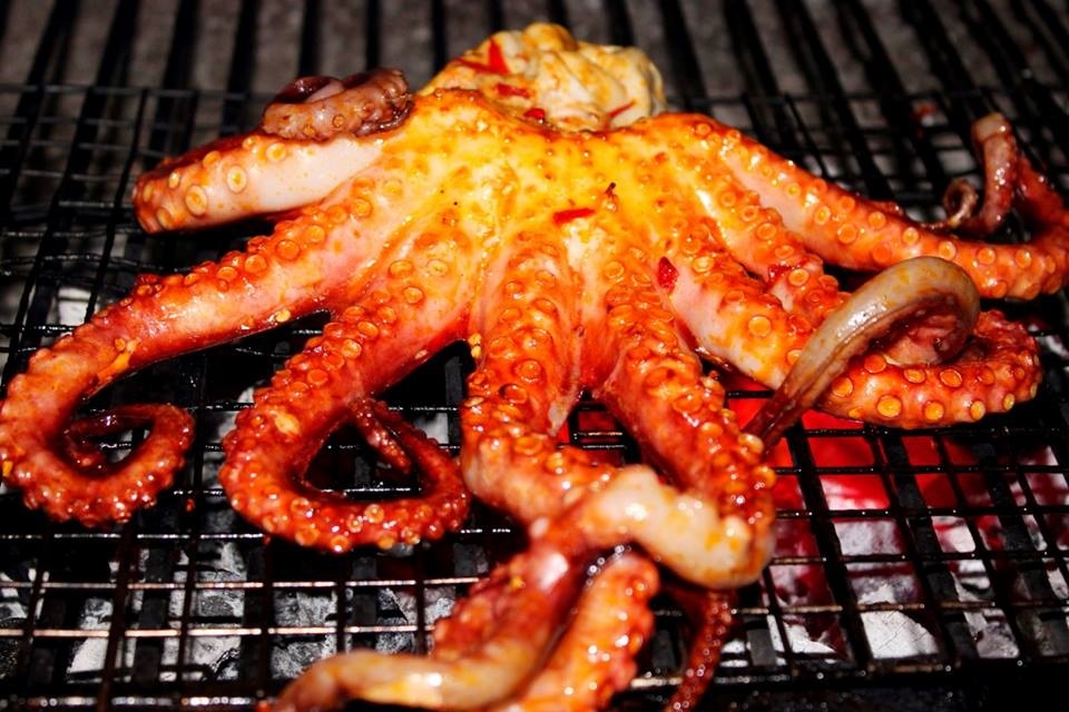 Octopus grilled on charcoal