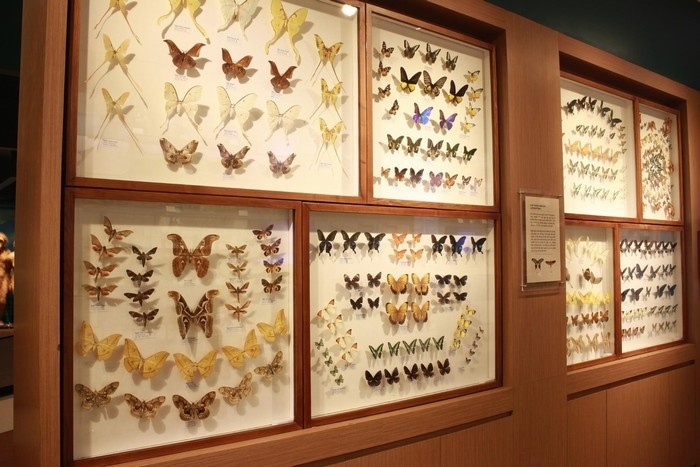 inside national museum of nature in hanoi vietnam