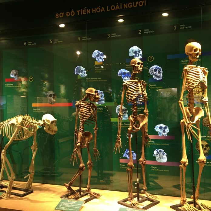 Visiting Vietnam National Museum of Nature — The first nature museum in ...