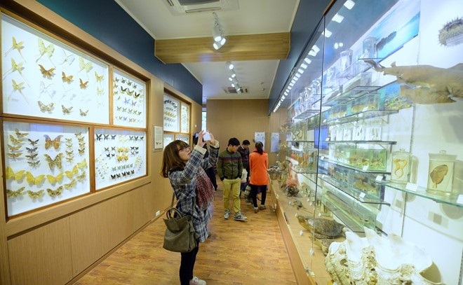 the national museum of nature in hanoi in vietnam
