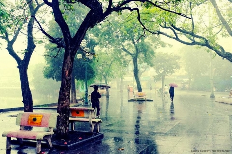 vietnam rain