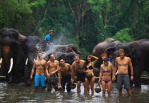 Top 10 coolest things to do in Chiang Mai coolest things to do in chiang mai