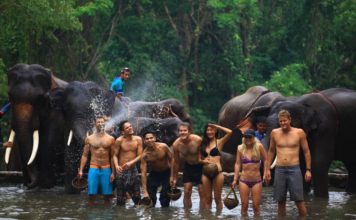 coolest things to do in chiang mai