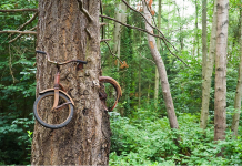 20+ incredible photos of nature showing how nature can defeat the civilization