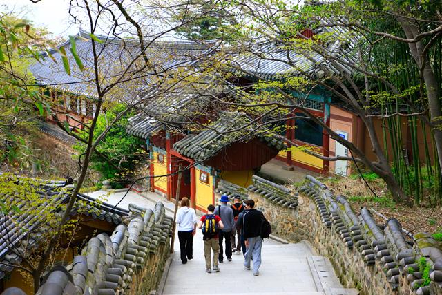 Beomeosa+Temple+ south korea spring trip