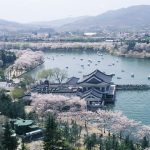 South Korea spring trip blog — A fantastic spring journey in South Korea