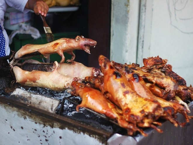 The way of cooking cuy is believed to decide how the taste will be. The most popular way of cooking cuy is roasted. People in these countries have cuy when they celebrate important occasions. Photo: Business insider 