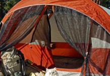 Meet 4 traveling cats who have admirable journeys Gandalf is a very famous traveling cat with more than 26,500 followers in Instagram