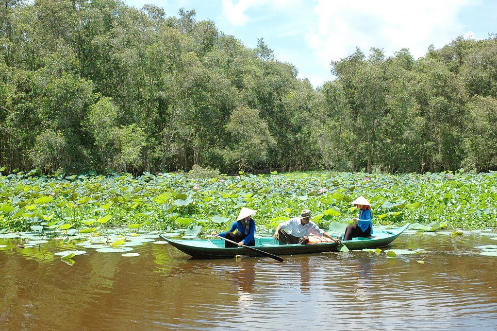 Gao Giong eco-tourism park Must-go destination in Dong Thap