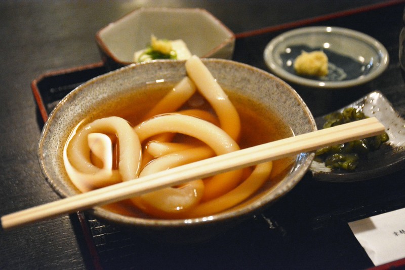 One fiber noodle of Udon