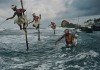 fishing on stilts in sri lanka