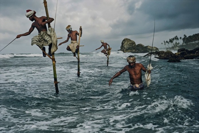 fishing on stilts in sri lanka