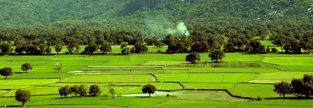 Ta Pa 3 paddy fields An Giang Vietnam must-go destination travel tips