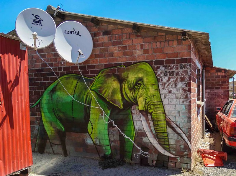 Elephant Street Art In South African Villages