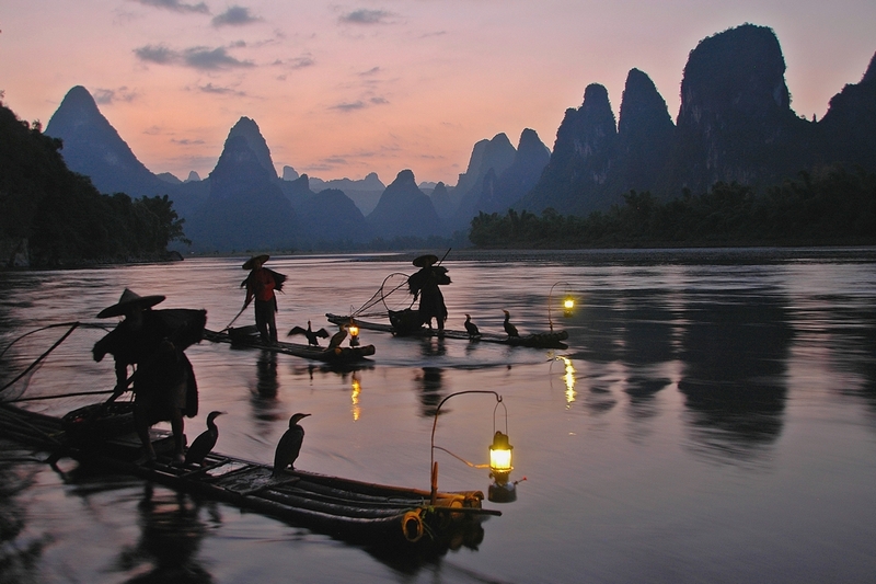 fishing by cormorants in li jiang river china