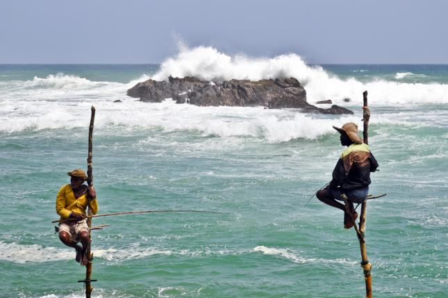 fishing on stilts in sri lanka 