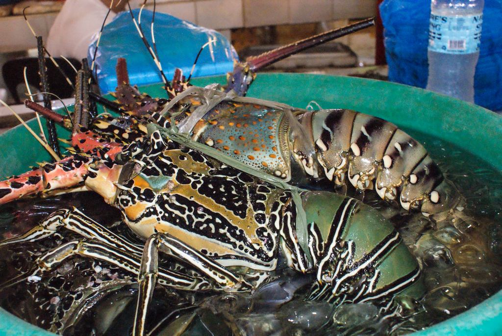 Lobster taken at D’talipapa market. Photo: midnightgirl27.wordpress.com