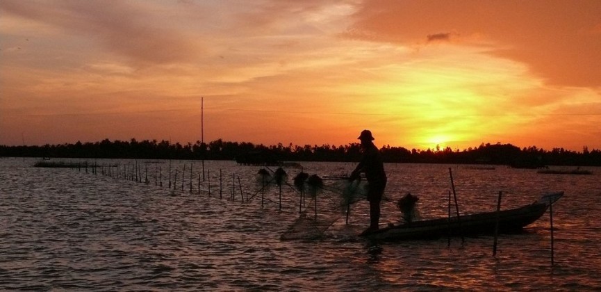 Thi Tuong pond, Ca Mau. Photo: lienhiephoicamau.com.vn